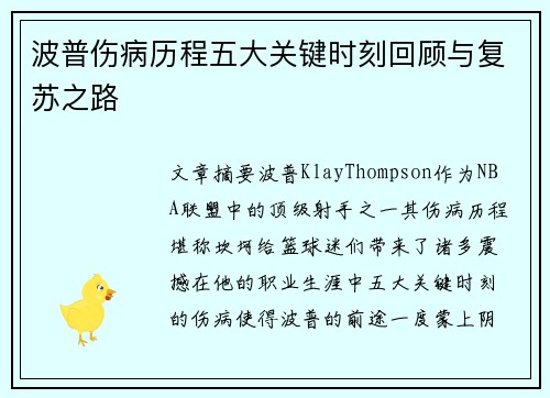 波普伤病历程五大关键时刻回顾与复苏之路