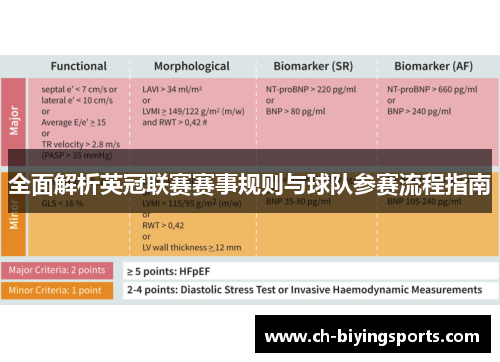 全面解析英冠联赛赛事规则与球队参赛流程指南
